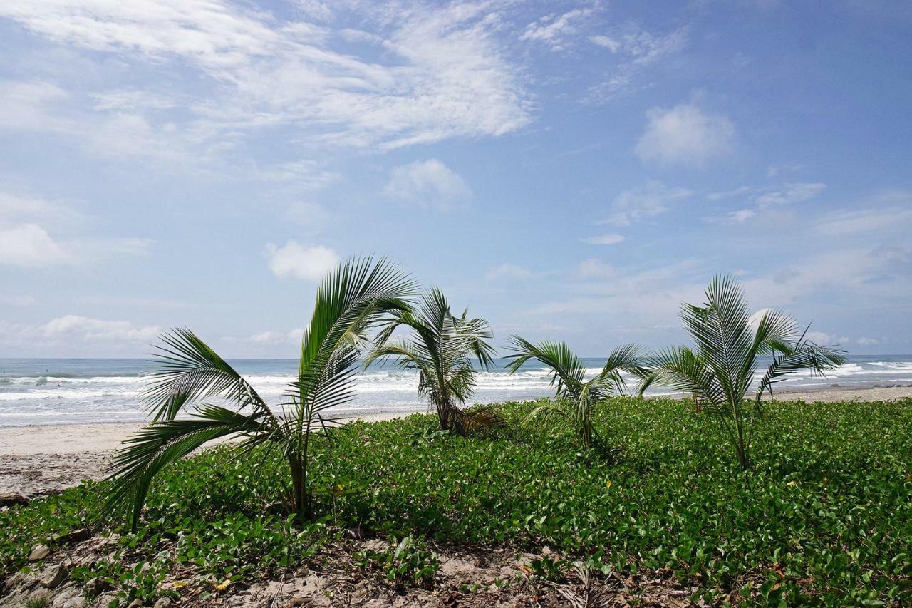 Villa Picasso Playa Santa Teresa  Eksteriør billede